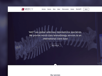 Web Design: VetCT