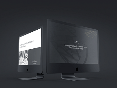 UI: MW Luxury Packaging black luxury monochromatic packaging ui ux web website white