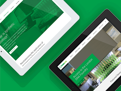 Responsive Design: Synbicite branding green rebrand responsive science tech ui ux web website