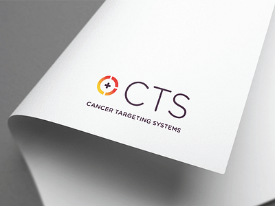 Brand Identity: CTS