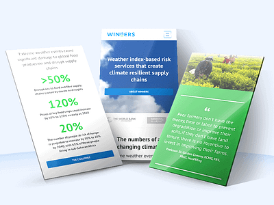 Web Design: WINnERS animated animation blue branding climate climate change green logo ui ux weather website