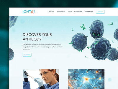 Web Design: Iontas