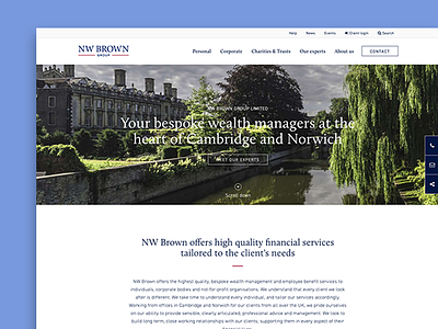 Web Design: NW Brown business company design finance site ui ux web web design website