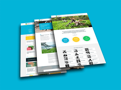 Web Design: Malabo Montpellier Panel agriculture blue brand branding digital green logo ui ux web website yellow