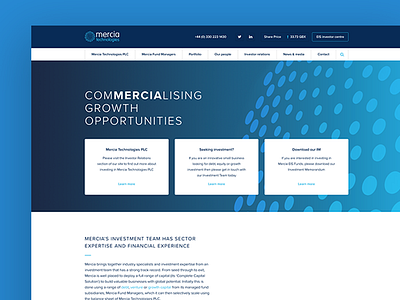 Web Design: Mercia Technologies