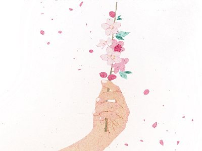 Spring•Sakura.｜by Daydream art branding design drawing illustration painting procreate watercolor watercolor art watercolour