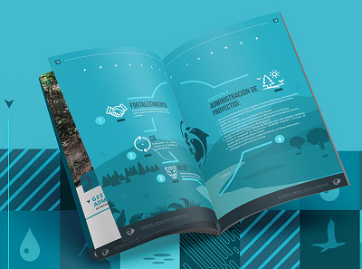 FONNOR annual annual report brand brand identity branding diseño grafico editorial visual design