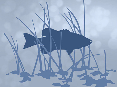 Hunting App Default Images 2/6 bass blue fish fishing hunting illustration
