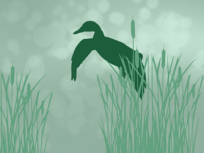 Hunting App Default Images 6/6 duck green hunting illustration waterfowl