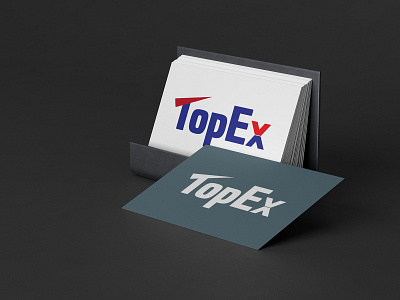 TopEx Logo design graphic design illustration logo typography