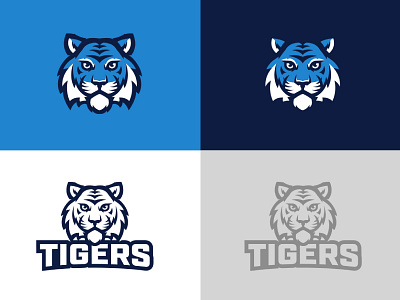 Central Tigers Rebrand blue branding elementary high school rebrand school sports tiger