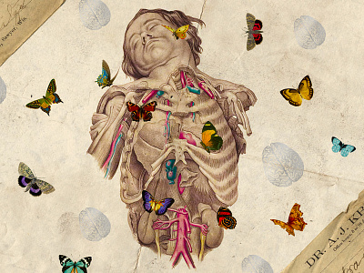 Surreal Stories: Collection 1 - Printable Organs brain butterflies corpse doctor future medical organs surreal surrealism vintage vintage medical