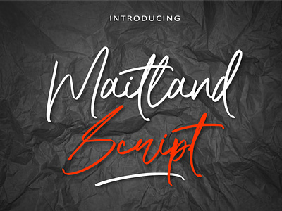 Maitland Script modern