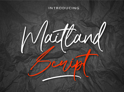 Maitland Script modern