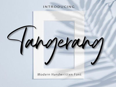 Tangerang branding design handmade font lettering lovely font modern stylish font