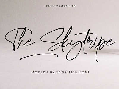 The Skytripe branding design handmade font illustration lettering lovely font modern stylish font