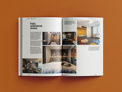 Developer magazine branding brochure design document grid helvetica layout magazine print typography