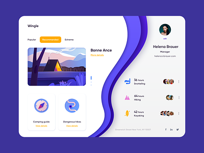 Web App - Wingle