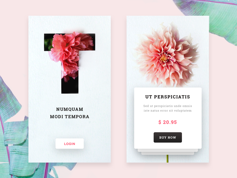 Flower Shop mobile app by Outcrowd on Dribbble