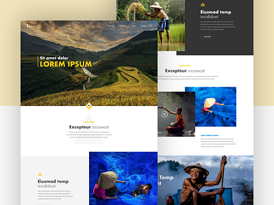 Vietnam - Landing Page experience landing minimal travel ui ux