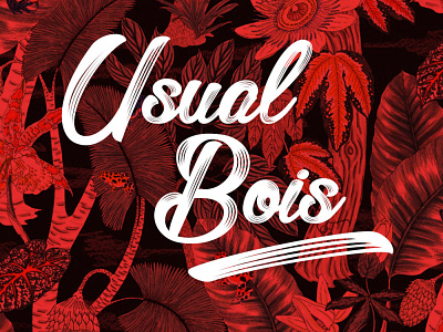 Usual Bois design logo