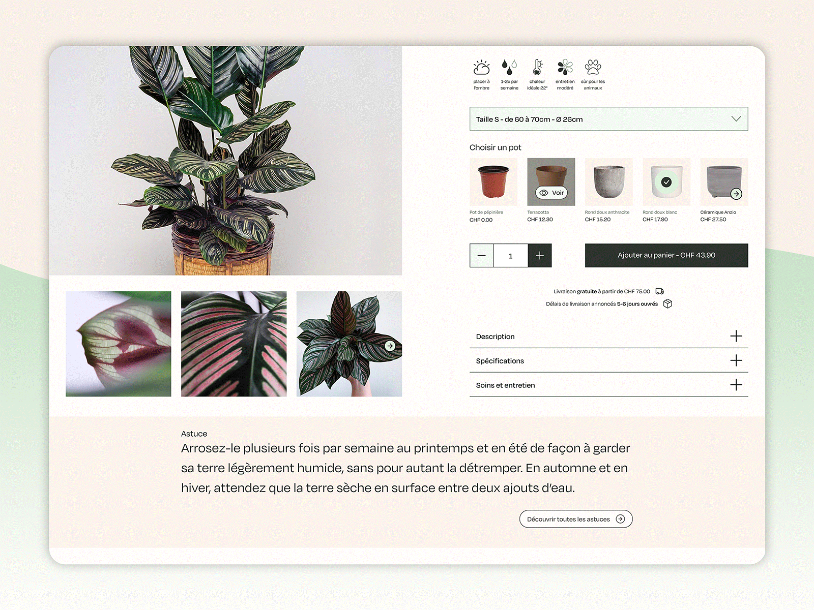 Daily UI 12/100 - E-Commerce Shop (Single Item) branding dailyui ecommerce garden graphic design item shop plant plant shop shop ui ui challenge ui design webdesign