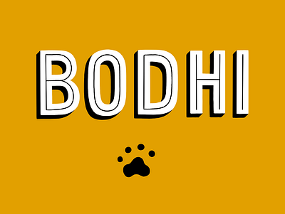 Bodhi the BMD design handlettering illustration ipad lettering letters procreate type typography