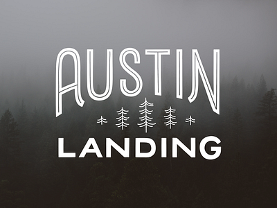 Austin Landing Logo: Final branding design illustration lettering logo type typography vector