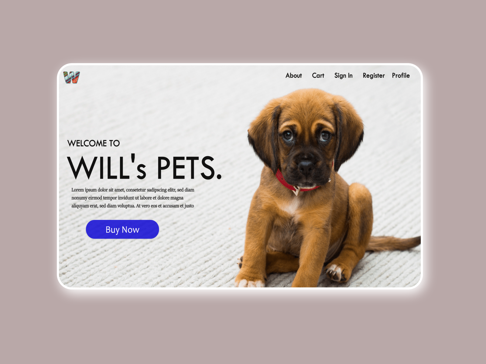 Pet Sale site by Paul Yeboah on Dribbble
