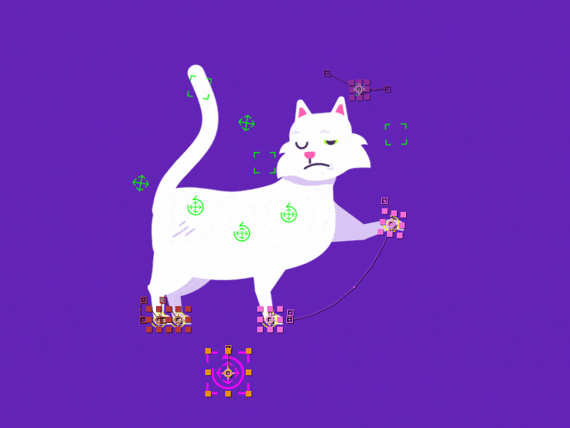 Cat Rig after effects cat motion graphics rig