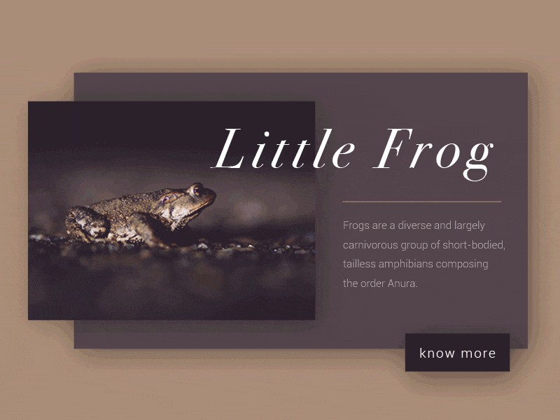 Little Frog a concept