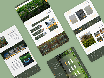 Khuzestan Sugarcane adobe xd design figma illustration ui ux web website