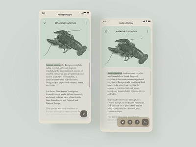 Daily UI 10 - Social Share app daily ui 10 dailyui dailyuichallenge design minimal museum ui