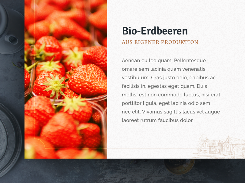 Bio Market lettering visual design website bio market