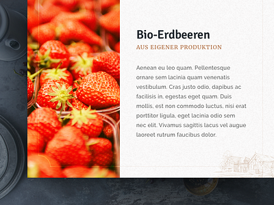 Bio Market bio market lettering visual design website