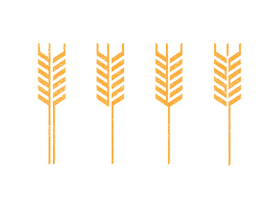 Wheat Exploration illustration kansas midwest texture wheat