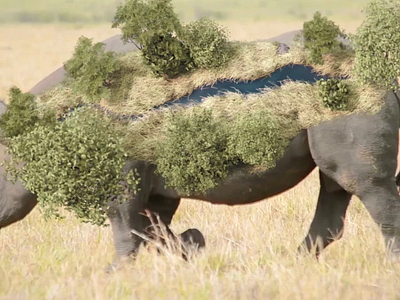 Rhino savannah track 3d 3d animation 3d artist aftereffects animation cinema4d simulation tracking