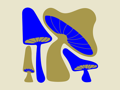 shrooms branding design graphic graphic design illustration mushrooms typography