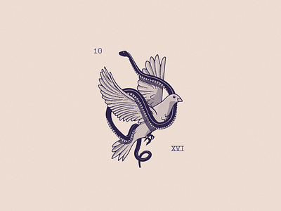 Dove & Serpant branding design dove graphic illustration logo serpant snake