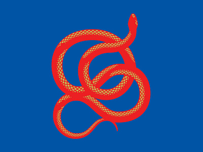 Snake animal design graphic illustration snake vector