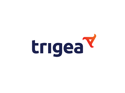 Trigea Solutions analytics chaos location logo logotype order symbol triangle triangulation visual identity