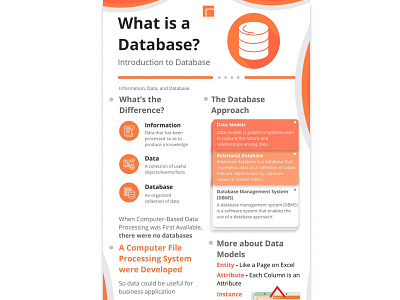 Infographic Design - Database Introduction Infographic Design database database infographic design flat design infographic infographic design poster