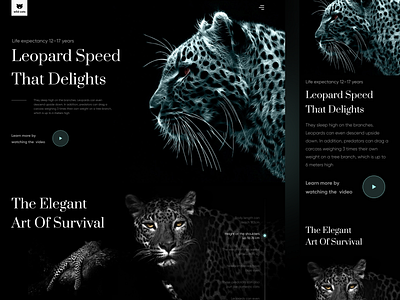 Landing page concept about wild cats-Leopard