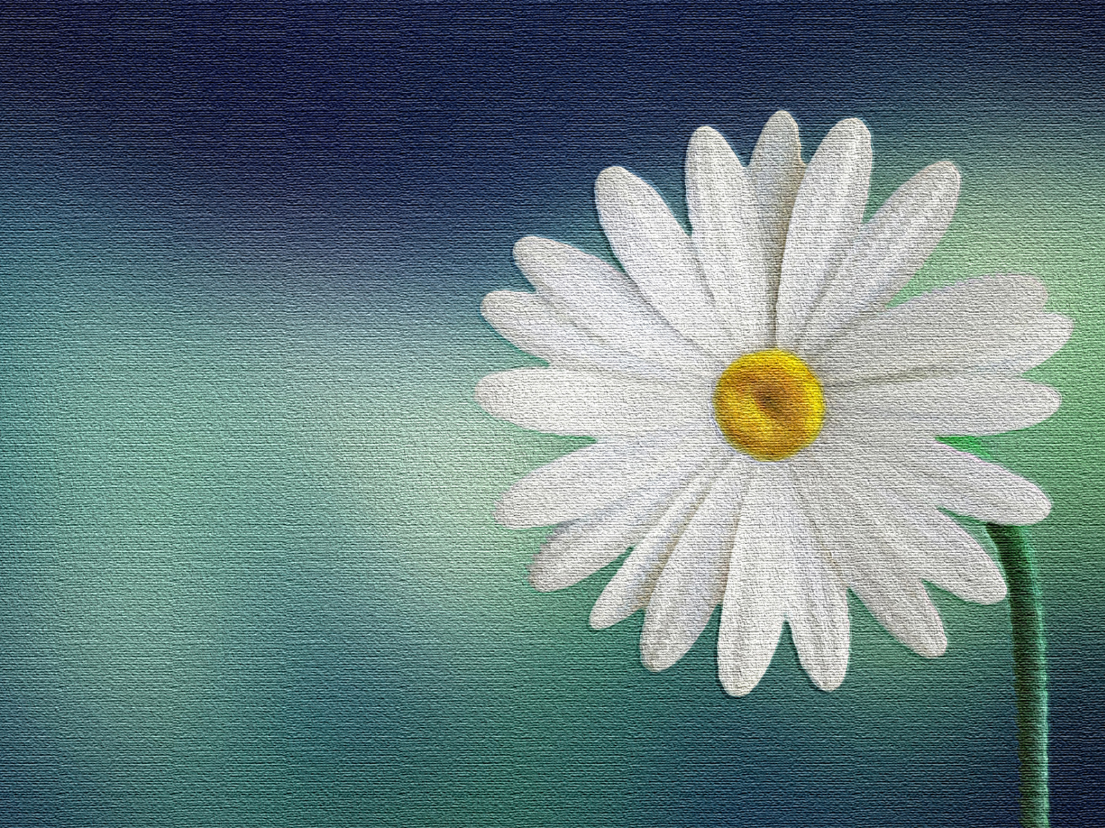 White Flower by Dolphin Branding and Creatives LLP on Dribbble White Flower