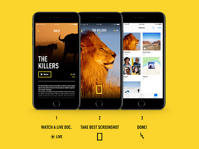 Nat Geo Wild Channel app concept documentary mobile ui ux