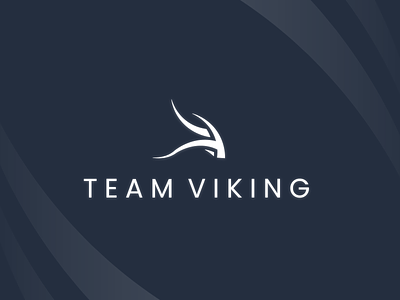Team Viking - Logo branding design illustrator logo vector