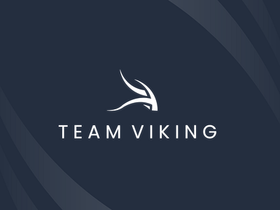 Team Viking - Logo