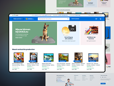 Eagle store design development front end interactivated interface magento marketplace mobile painting product shop store ui web