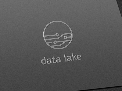 Data Lake software logo design it logo logo design logotype software logo