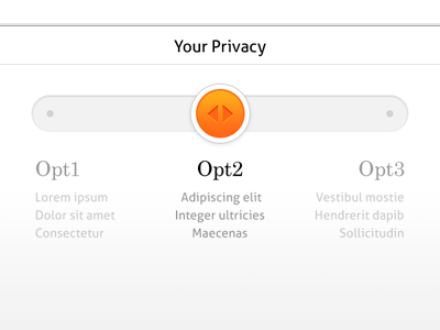 Privacy Slider